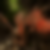 dmx-1-1pr-f2r-sm-thumb
