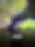 dmx-sonja-mense-lichen-2024-08