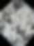 dmx-sonja-mense-lichen-2024-07
